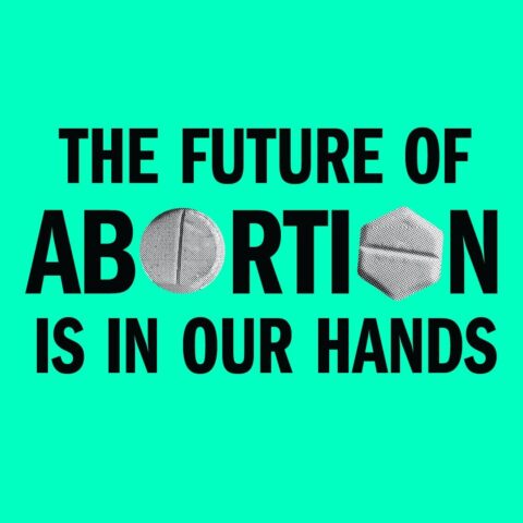 Bold text on aqua background: The Future of Abortion is in Our Hands with graphics in some letters.