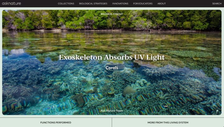 Coral reef underwater view with exoskeleton absorbing UV light; lush green trees in bac...