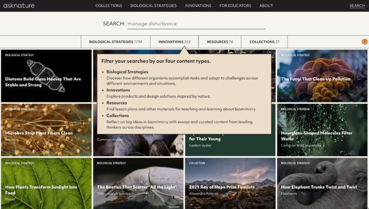 Nature-inspired strategies and innovations: Explore AskNature's resources on biomimicry...