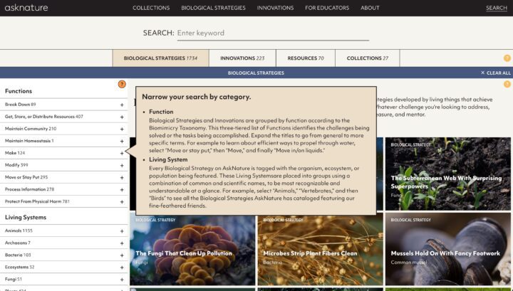 AskNature website search interface with categories: Biological Strategies, Innovations,...