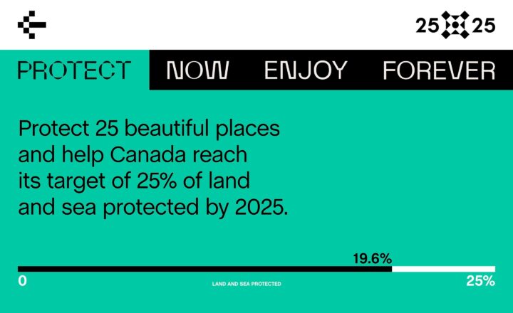 Help Canada protect 25% of land and sea by 2025. Achieve 25 protected places goal, curr...