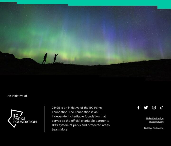Silhouettes under vibrant northern lights, promoting BC Parks Foundation initiative.