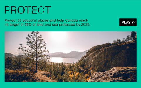 Scenic view of a sunlit Canadian landscape of forests and cliffs. Protect initiative aims to conserve 25% of land and sea by 2025.